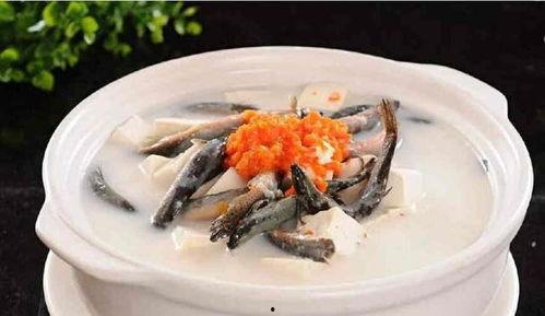 泥鳅钻逼在线视频,揭秘水下生物的神奇生存智慧