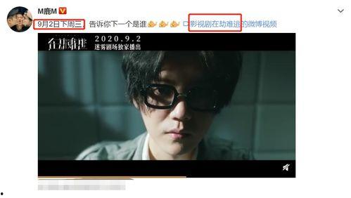 浮生后入在线视频