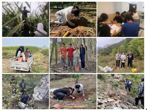 泥土团在线视频,探索自然之美，感受生命力量