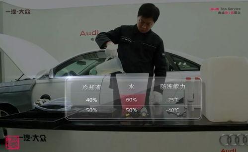 大神冷s在线视频,深度解析其独特魅力与影响力