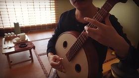 中阮弹奏在线视频,在线视频中的古典韵味与技巧解析