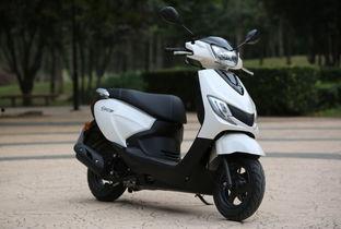 轻骑有码在线视频,探索激情四溢的在线视频盛宴