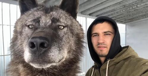 狼小伙在线视频,探寻野性魅力，解锁户外生存秘籍