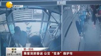 狼小伙在线视频,探寻野性魅力，解锁户外生存秘籍