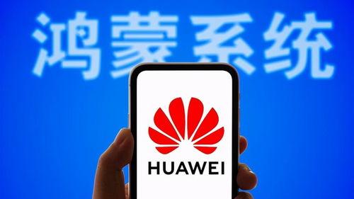 国产承认手机在线视频