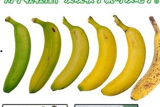 青在线观看香蕉在线视频