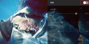 在线视频含弹幕,揭秘热门视频背后的弹幕文化