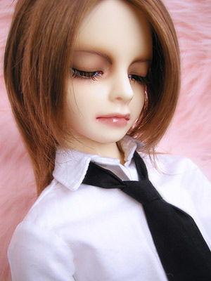 sd日本写真在线视频