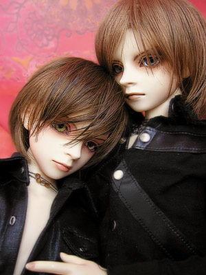 sd日本写真在线视频  第2张