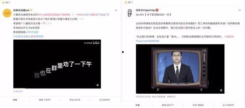 费爵娜在线视频  第3张