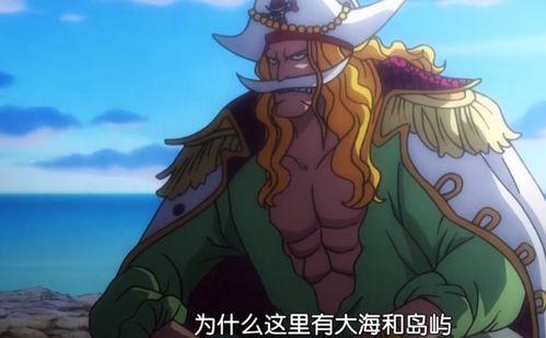 海贼王在线视频962  第3张